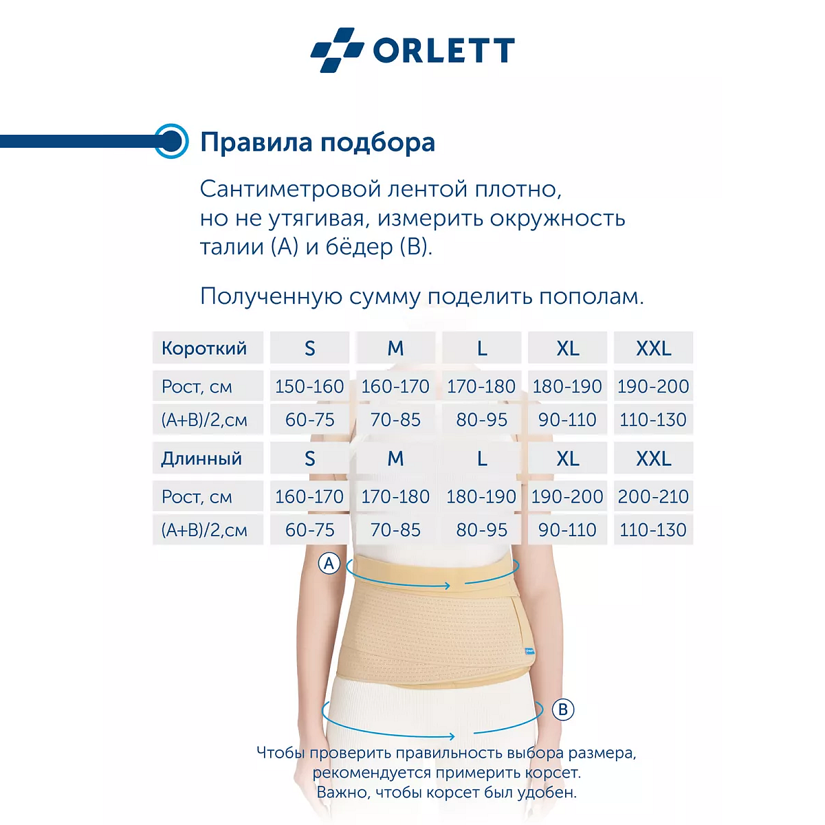 Корректор осанки TLSO-250(A) 2G Orlett, умеренная фиксация купить в OrtoMir24